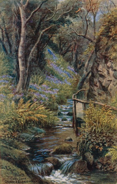 Lhen Coan, Groudle Glen, Isle of Man von Alfred Robert Quinton